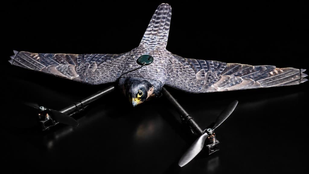 Falcon drone at Ace Robotics