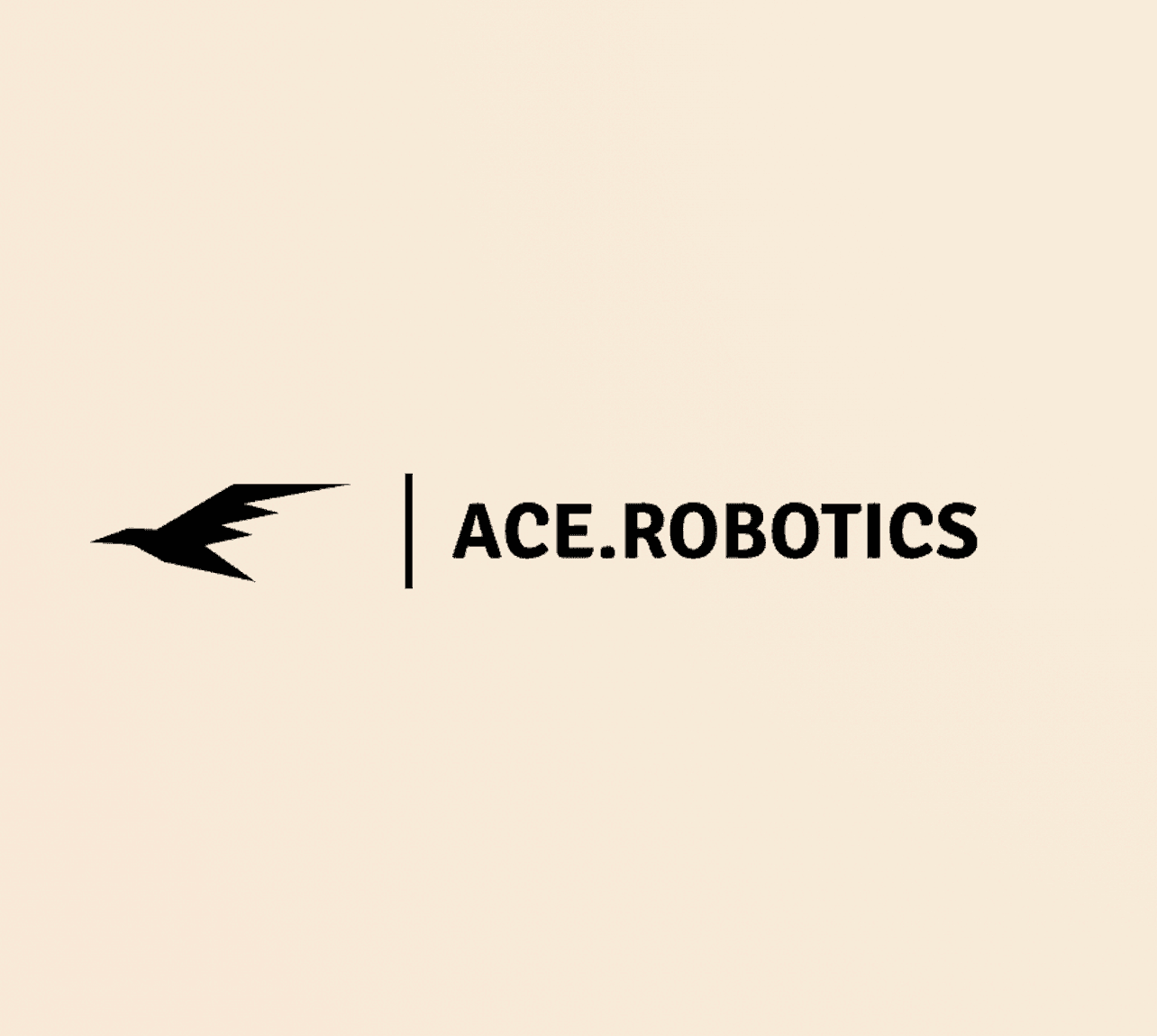 Ace Robotics
